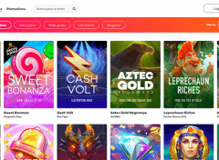 21.com Casino Slots