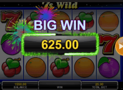 7s Wild Slot 7s Wild Slot IGT Winning Game Big Win