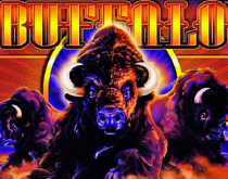 Buffalo
