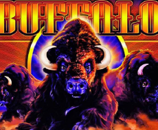 Buffalo