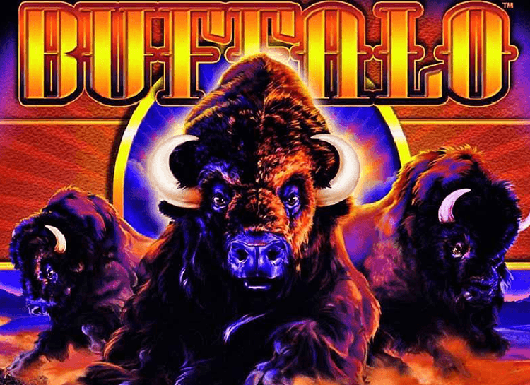 Buffalo