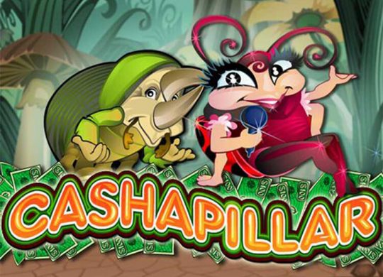 Cashapillar