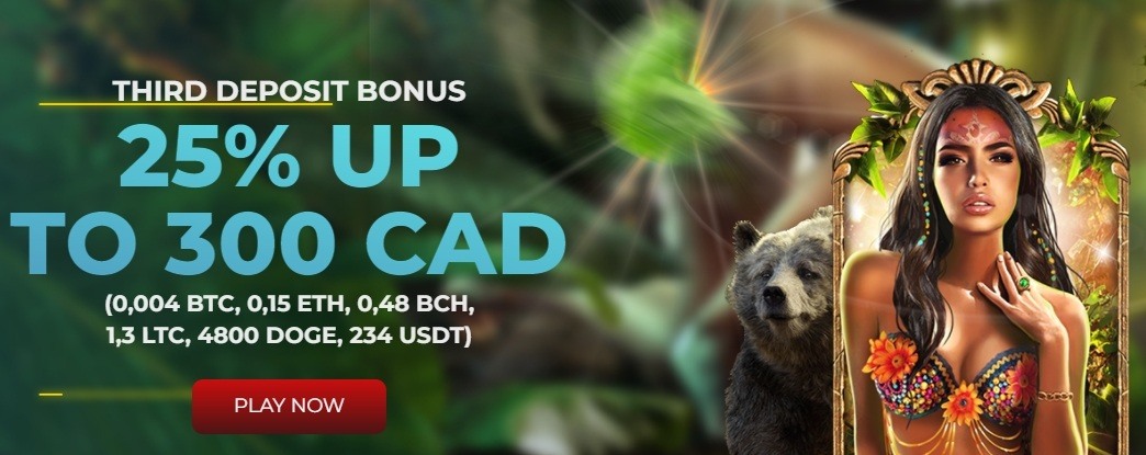 Casino 4u Third Deposit bonus CasinoOnline 365