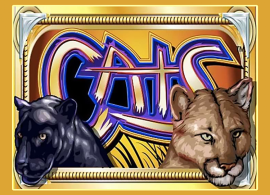 Cats 