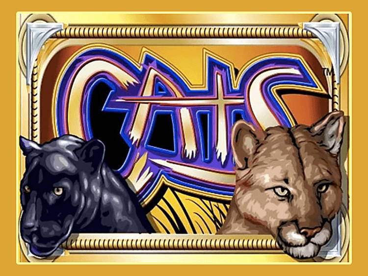 Cats 