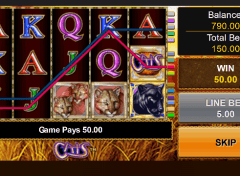 Cats Slot Game IGT