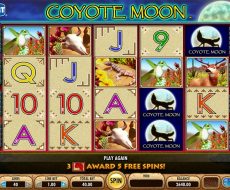 Coyote Moon