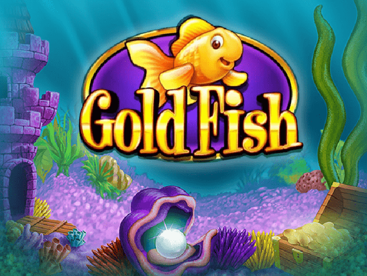 Gold Fish