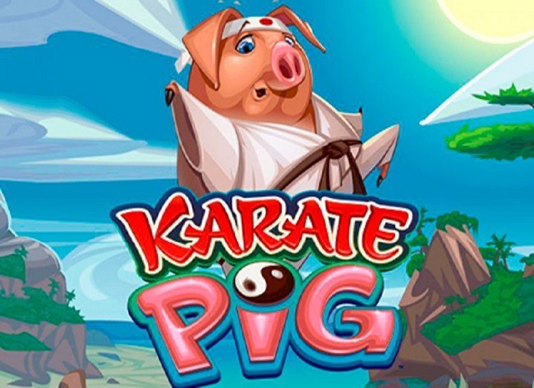 Karate Pig