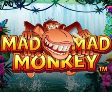 Mad Mad Monkey