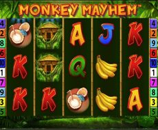 Monkey Mayhem