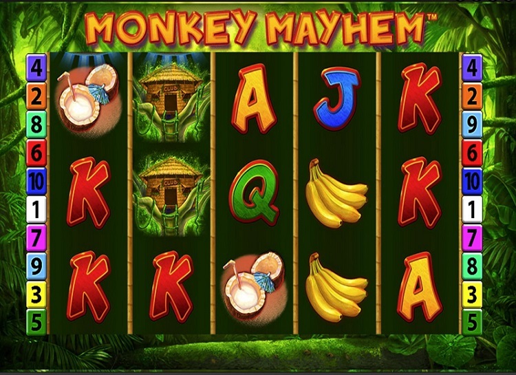 Monkey Mayhem