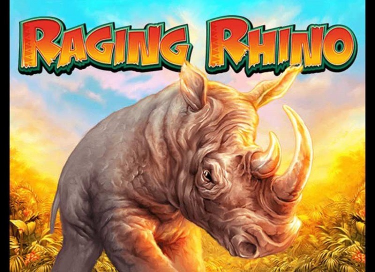 Raging Rhino