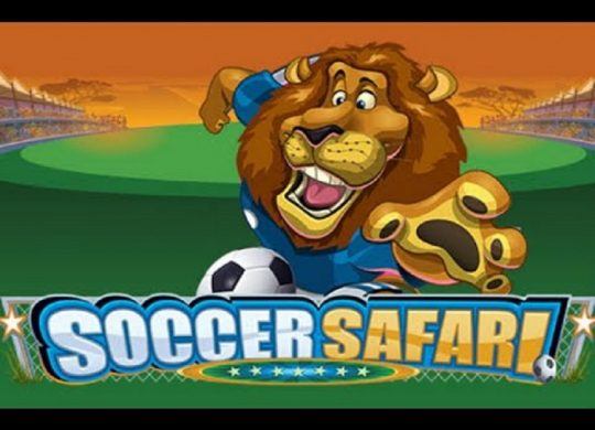 Soccer Safari