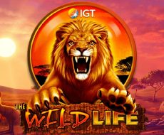 Wild Life