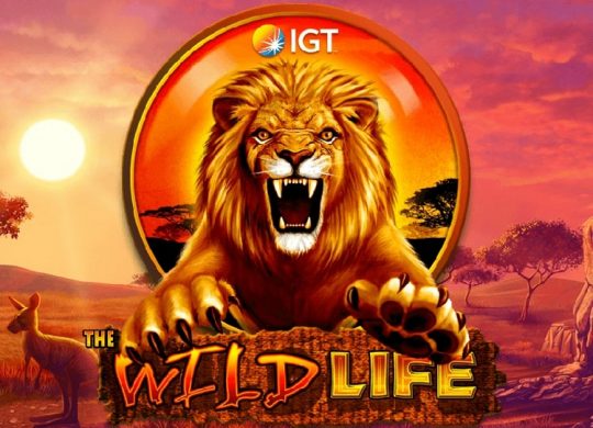 Wild Life