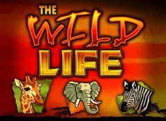 Wild Life Slot Game