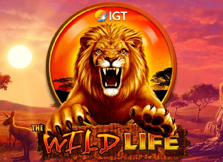 Wild Life