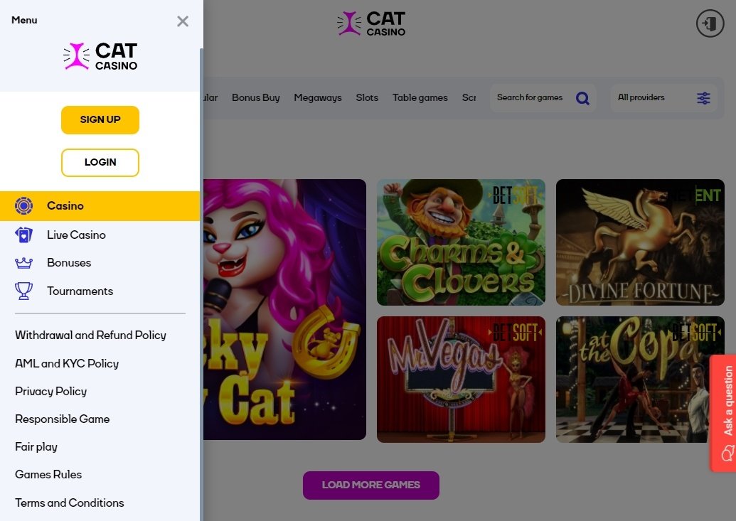 сat сasino website design
