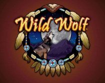 Wild Wolf